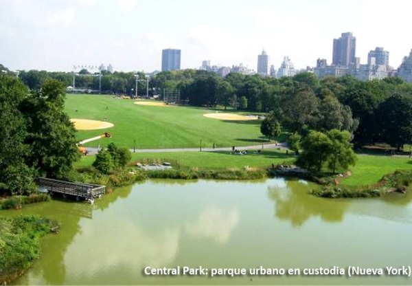 Una hoja de ruta para la custodia urbana's header image