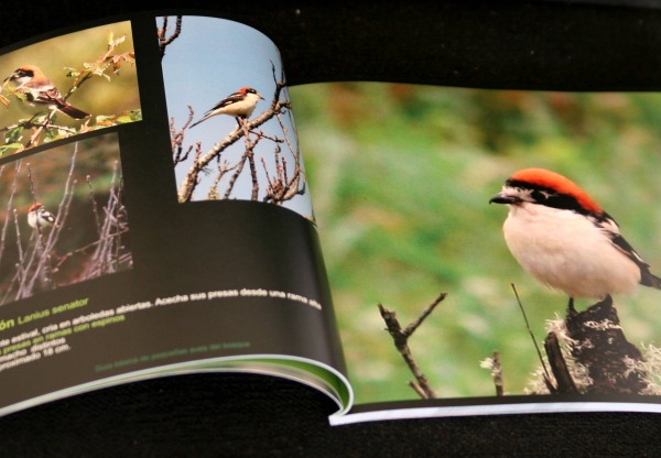 Zitrivi ediciones's header image