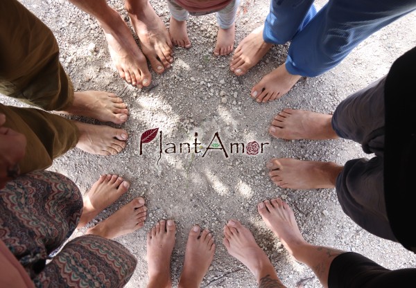 Support the Plantamor community land purchase!'s header image