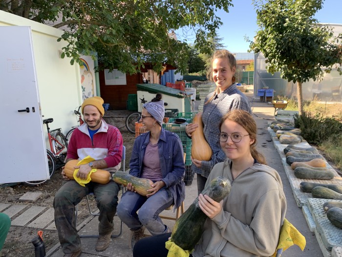 voluntarios2.jpg