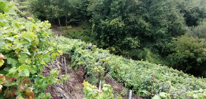 img-20210927-110817.jpg