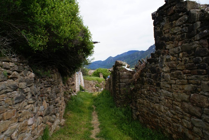 yeste4.jpg
